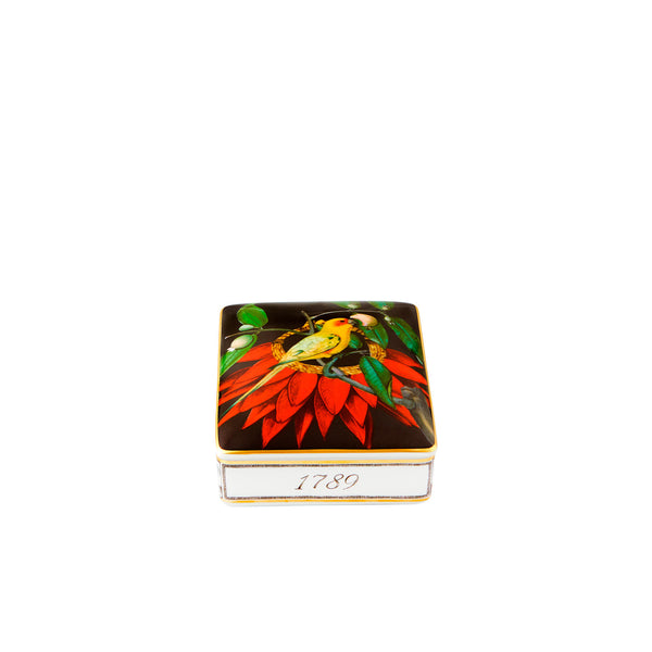 VISTA ALEGRE AMAZONIA CARD BOX COCAR