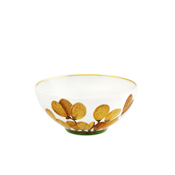 VISTA  ALEGRE AMAZONIA CEREAL BOWL, SET OF 4