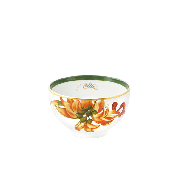 VISTA  ALEGRE AMAZONIA RICE BOWL, SET OF 4